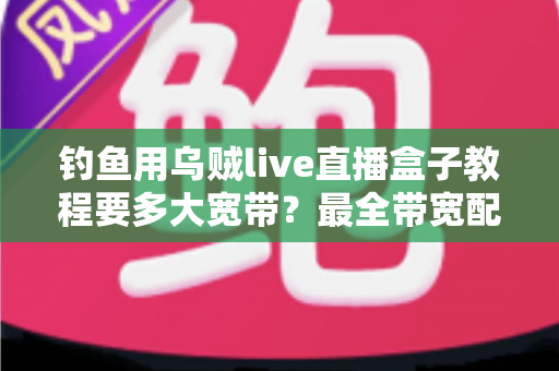 钓鱼用乌贼live直播盒子教程要多大宽带？最全带宽配置与搭建实战指南