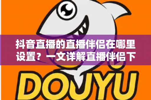 抖音直播的直播伴侣在哪里设置？一文详解直播伴侣下载、安装与参数配置全流程