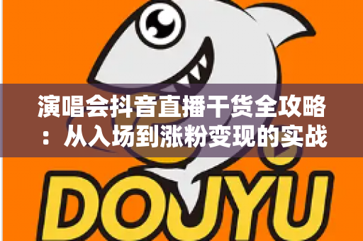 演唱会抖音直播干货全攻略:从入场到涨粉变现的实战指南 演唱会抖音直播干货全攻略:从入场到涨粉变现的实战指南