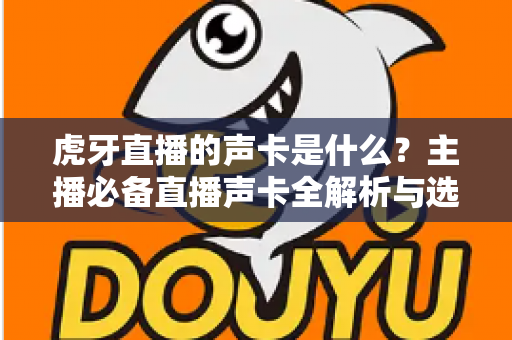 虎牙直播的声卡是什么?主播必备直播声卡全解析与选购实用指南 虎牙直播的声卡是什么?主播必备直播声卡全解析与选购实用指南