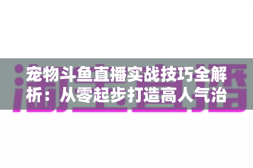 宠物斗鱼直播实战技巧全解析：从零起步打造高人气治愈系直播间