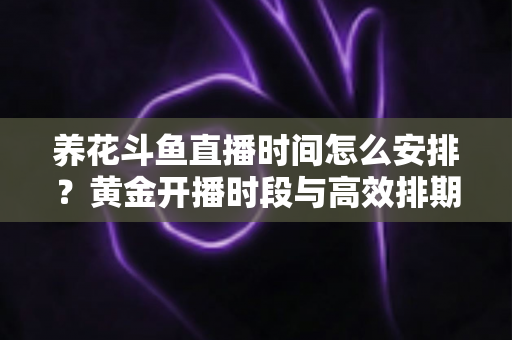 养花斗鱼直播时间怎么安排？黄金开播时段与高效排期全攻略