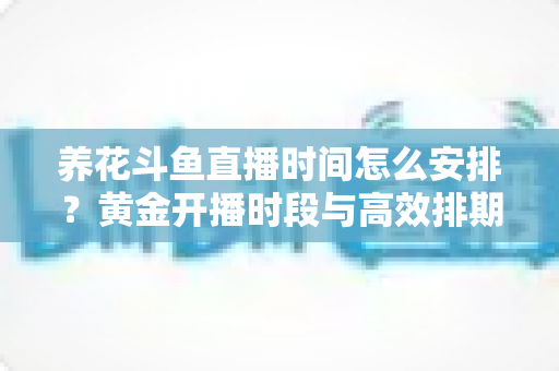 养花斗鱼直播时间怎么安排？黄金开播时段与高效排期全攻略