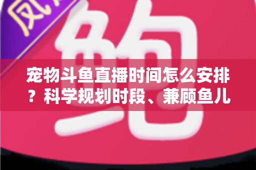 宠物斗鱼直播时间怎么安排?科学规划时段、兼顾鱼儿健康与人气的完整实用指南 宠物斗鱼直播时间怎么安排?科学规划时段、兼顾鱼儿健康与人气的完整实用指南
