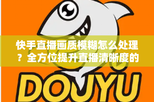 快手直播画质模糊怎么处理?全方位提升直播清晰度的实用指南 快手直播画质模糊怎么处理?全方位提升直播清晰度的实用指南