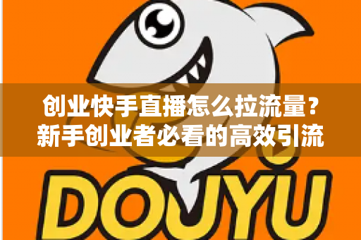 创业快手直播怎么拉流量?新手创业者必看的高效引流实战指南 创业快手直播怎么拉流量?新手创业者必看的高效引流实战指南
