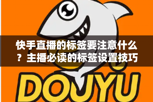 快手直播的标签要注意什么?主播必读的标签设置技巧与流量提升全攻略 快手直播的标签要注意什么?主播必读的标签设置技巧与流量提升全攻略