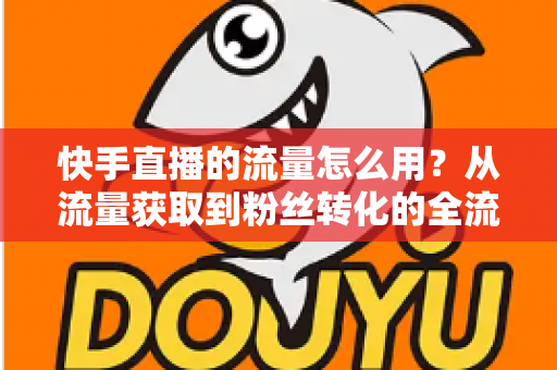 快手直播的流量怎么用?从流量获取到粉丝转化的全流程实战指南 快手直播的流量怎么用?从流量获取到粉丝转化的全流程实战指南