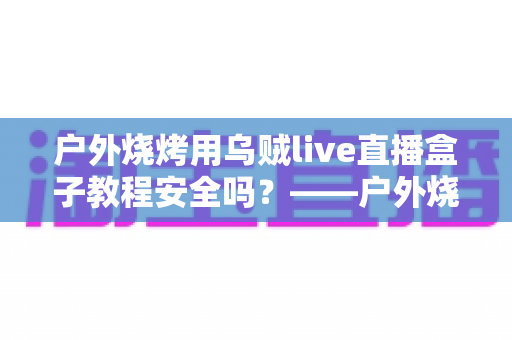 户外烧烤用乌贼live直播盒子教程安全吗？——户外烧烤直播安全性与使用指南全面解读
