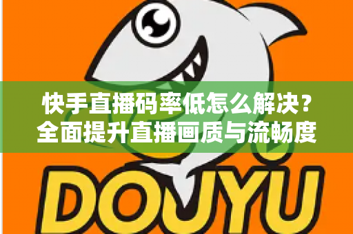 快手直播码率低怎么解决？全面提升直播画质与流畅度的实用指南