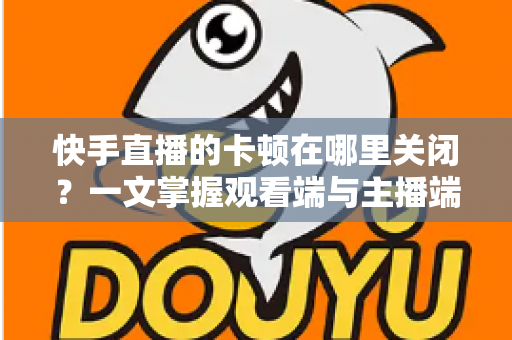 快手直播的卡顿在哪里关闭？一文掌握观看端与主播端的完整设置技巧，轻松告别直播卡顿