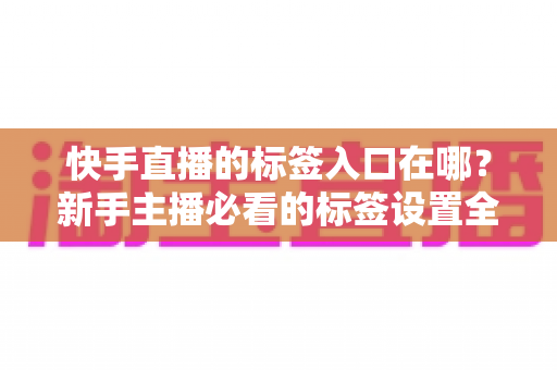 快手直播的标签入口在哪?新手主播必看的标签设置全攻略与上热门技巧 快手直播的标签入口在哪?新手主播必看的标签设置全攻略与上热门技巧