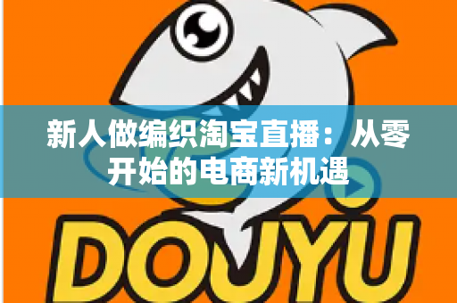 新人做编织淘宝直播：从零开始的电商新机遇
