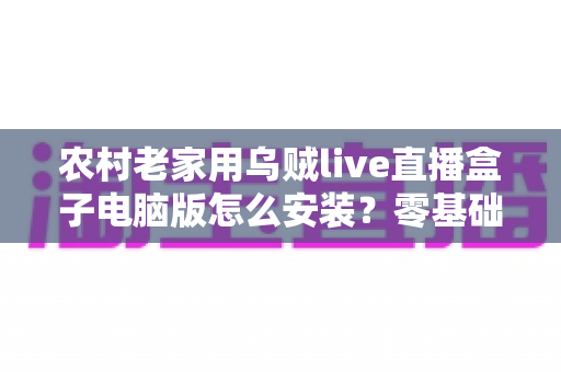 农村老家用乌贼live直播盒子电脑版怎么安装？零基础也能一次搞定的保姆级安装教程