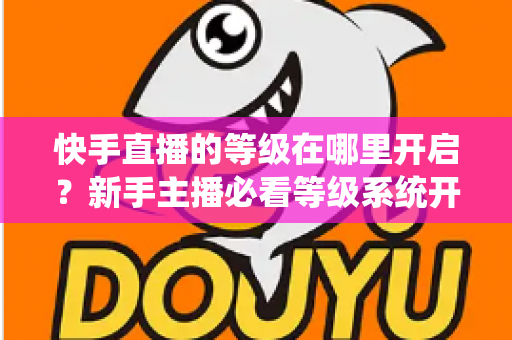 快手直播的等级在哪里开启？新手主播必看等级系统开启与查看全攻略