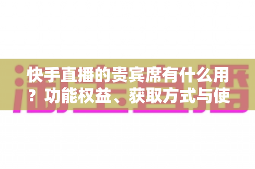 快手直播的贵宾席有什么用?功能权益、获取方式与使用价值全解析 快手直播的贵宾席有什么用?功能权益、获取方式与使用价值全解析