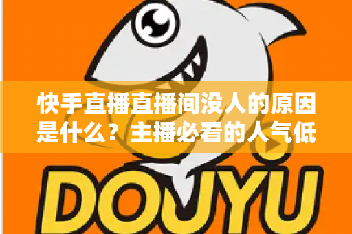 快手直播直播间没人的原因是什么？主播必看的人气低迷根源分析与破局指南
