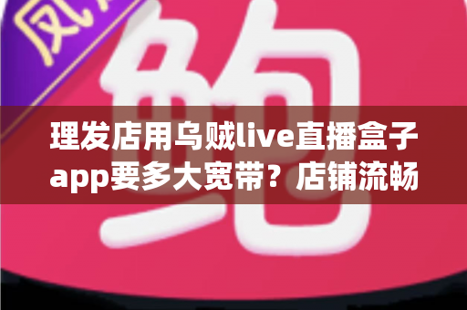 理发店用乌贼live直播盒子app要多大宽带？店铺流畅直播的带宽选择与网络优化全指南