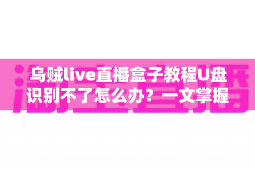 乌贼live直播盒子教程U盘识别不了怎么办?一文掌握完整排查方案与实用解决技巧 乌贼live直播盒子教程U盘识别不了怎么办?一文掌握完整排查方案与实用解决技巧
