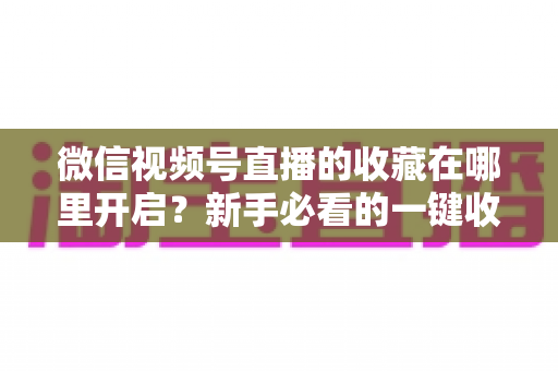 微信视频号直播的收藏在哪里开启?新手必看的一键收藏完整教程与实用指南 微信视频号直播的收藏在哪里开启?新手必看的一键收藏完整教程与实用指南
