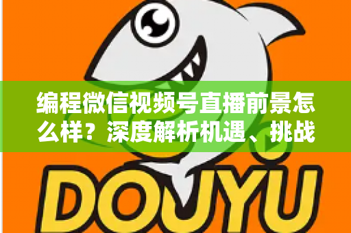编程微信视频号直播前景怎么样？深度解析机遇、挑战与变现全攻略