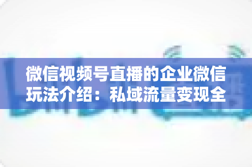 微信视频号直播的企业微信玩法介绍:私域流量变现全攻略,企业必看的直播运营指南 微信视频号直播的企业微信玩法介绍:私域流量变现全攻略,企业必看的直播运营指南