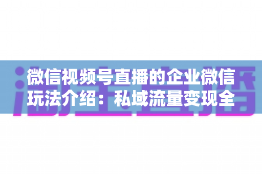 微信视频号直播的企业微信玩法介绍:私域流量变现全攻略,企业必看的直播运营指南 微信视频号直播的企业微信玩法介绍:私域流量变现全攻略,企业必看的直播运营指南