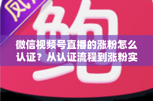 微信视频号直播的涨粉怎么认证?从认证流程到涨粉实战的完整指南 微信视频号直播的涨粉怎么认证?从认证流程到涨粉实战的完整指南