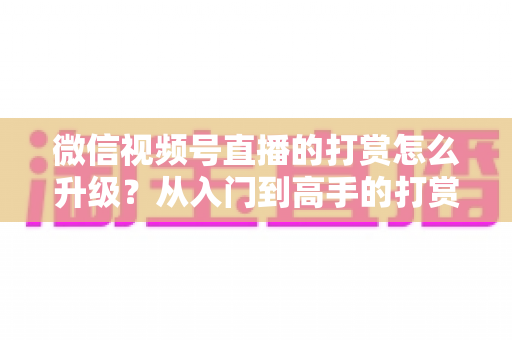 微信视频号直播的打赏怎么升级?从入门到高手的打赏升级全攻略 微信视频号直播的打赏怎么升级?从入门到高手的打赏升级全攻略