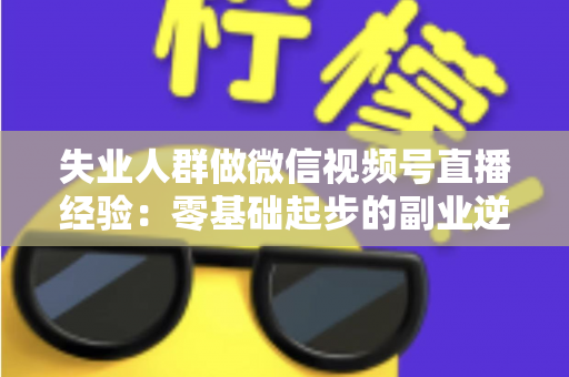 失业人群做微信视频号直播经验：零基础起步的副业逆袭实战指南
