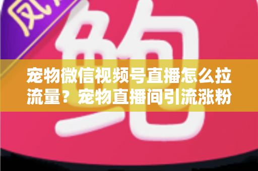 宠物微信视频号直播怎么拉流量?宠物直播间引流涨粉与运营变现全攻略 宠物微信视频号直播怎么拉流量?宠物直播间引流涨粉与运营变现全攻略