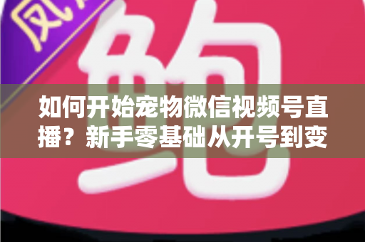 如何开始宠物微信视频号直播?新手零基础从开号到变现的全流程实战指南 如何开始宠物微信视频号直播?新手零基础从开号到变现的全流程实战指南