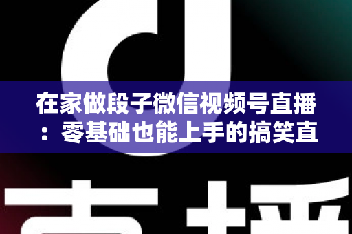 在家做段子微信视频号直播:零基础也能上手的搞笑直播赚钱完全指南 在家做段子微信视频号直播:零基础也能上手的搞笑直播赚钱完全指南