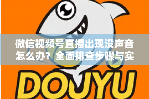 微信视频号直播出现没声音怎么办?全面排查步骤与实用解决方案指南 微信视频号直播出现没声音怎么办?全面排查步骤与实用解决方案指南