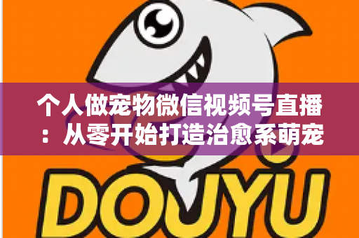 个人做宠物微信视频号直播:从零开始打造治愈系萌宠直播间的完整指南 个人做宠物微信视频号直播:从零开始打造治愈系萌宠直播间的完整指南