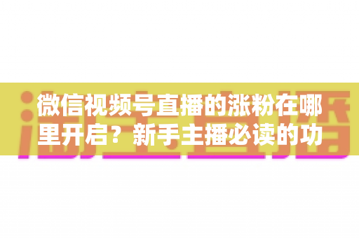 微信视频号直播的涨粉在哪里开启？新手主播必读的功能开启教程与涨粉实战攻略