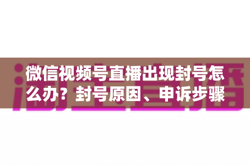 微信视频号直播出现封号怎么办？封号原因、申诉步骤与预防措施全攻略