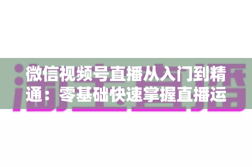 微信视频号直播从入门到精通:零基础快速掌握直播运营技巧与变现实战全攻略 微信视频号直播从入门到精通:零基础快速掌握直播运营技巧与变现实战全攻略