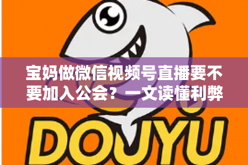 宝妈做微信视频号直播要不要加入公会?一文读懂利弊、避坑与选择策略 宝妈做微信视频号直播要不要加入公会?一文读懂利弊、避坑与选择策略