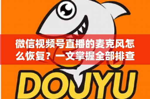 微信视频号直播的麦克风怎么恢复？一文掌握全部排查与修复方法，轻松解决直播无声困扰