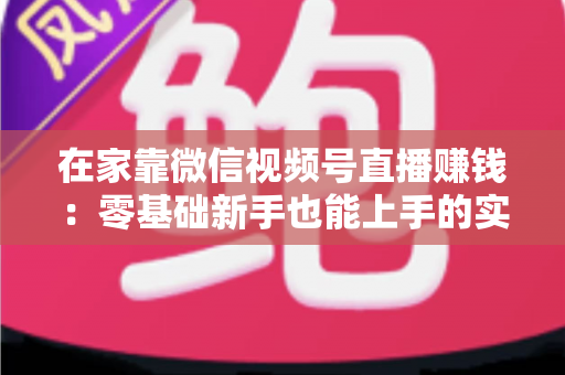 在家靠微信视频号直播赚钱:零基础新手也能上手的实战指南 在家靠微信视频号直播赚钱:零基础新手也能上手的实战指南