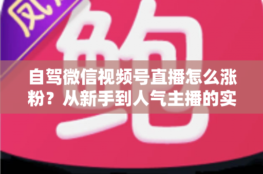 自驾微信视频号直播怎么涨粉？从新手到人气主播的实战涨粉全攻略