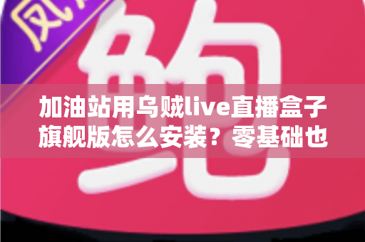 加油站用乌贼live直播盒子旗舰版怎么安装？零基础也能搞定的一站式安装与调试指南
