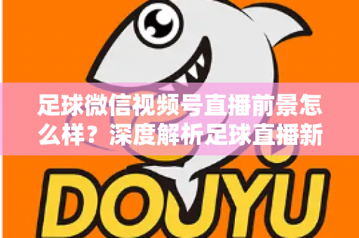 足球微信视频号直播前景怎么样?深度解析足球直播新赛道的机遇、挑战与变现路径 足球微信视频号直播前景怎么样?深度解析足球直播新赛道的机遇、挑战与变现路径