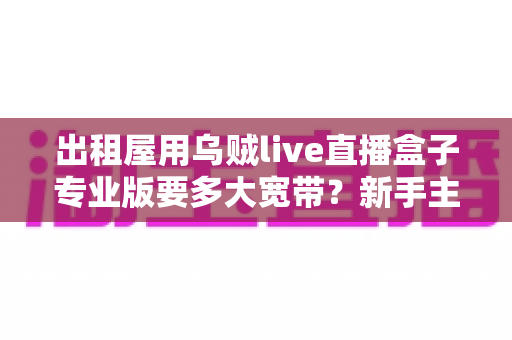 出租屋用乌贼live直播盒子专业版要多大宽带？新手主播带宽选择与网络优化全攻略