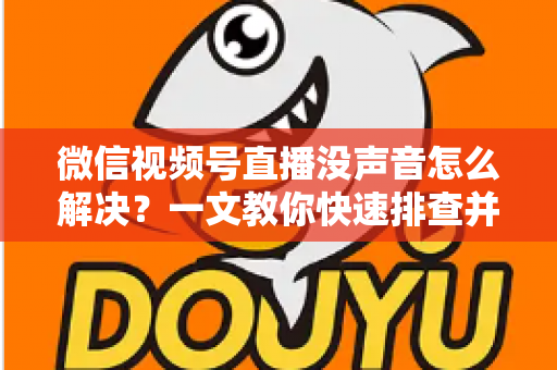 微信视频号直播没声音怎么解决?一文教你快速排查并恢复声音的完整指南 微信视频号直播没声音怎么解决?一文教你快速排查并恢复声音的完整指南