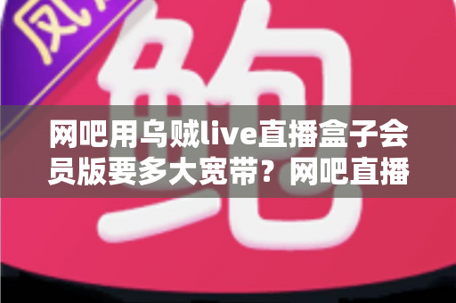 网吧用乌贼live直播盒子会员版要多大宽带？网吧直播带宽配置全攻略与实用选型指南