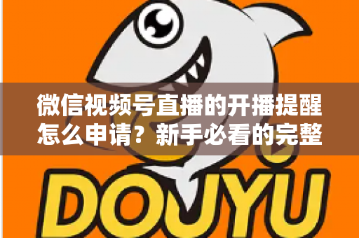 微信视频号直播的开播提醒怎么申请？新手必看的完整设置指南与实操技巧
