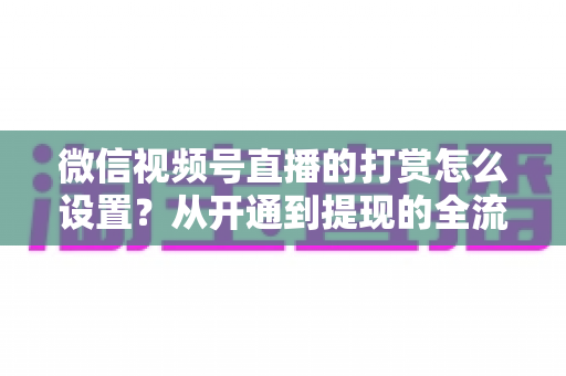 微信视频号直播的打赏怎么设置?从开通到提现的全流程实用指南 微信视频号直播的打赏怎么设置?从开通到提现的全流程实用指南