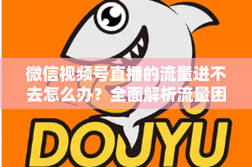 微信视频号直播的流量进不去怎么办?全面解析流量困境与破局之道 微信视频号直播的流量进不去怎么办?全面解析流量困境与破局之道